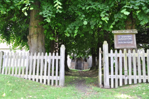The tree lined path leading to St Barnabas Church, Alphamstone