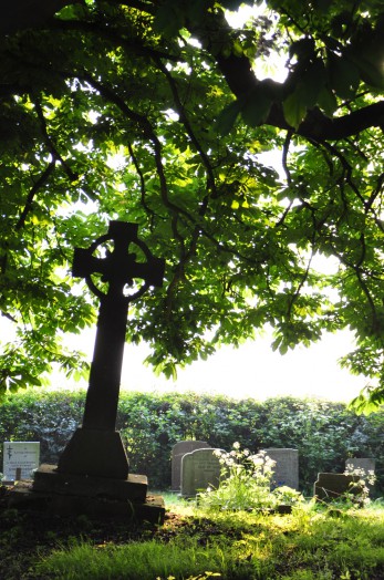 Sunlight in the evening at Great Henny churchyard