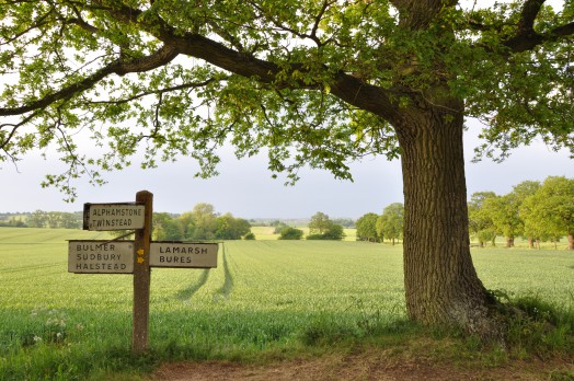 Near Lamarsh, Essex