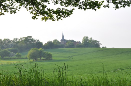 View of Great Henny Church Spire